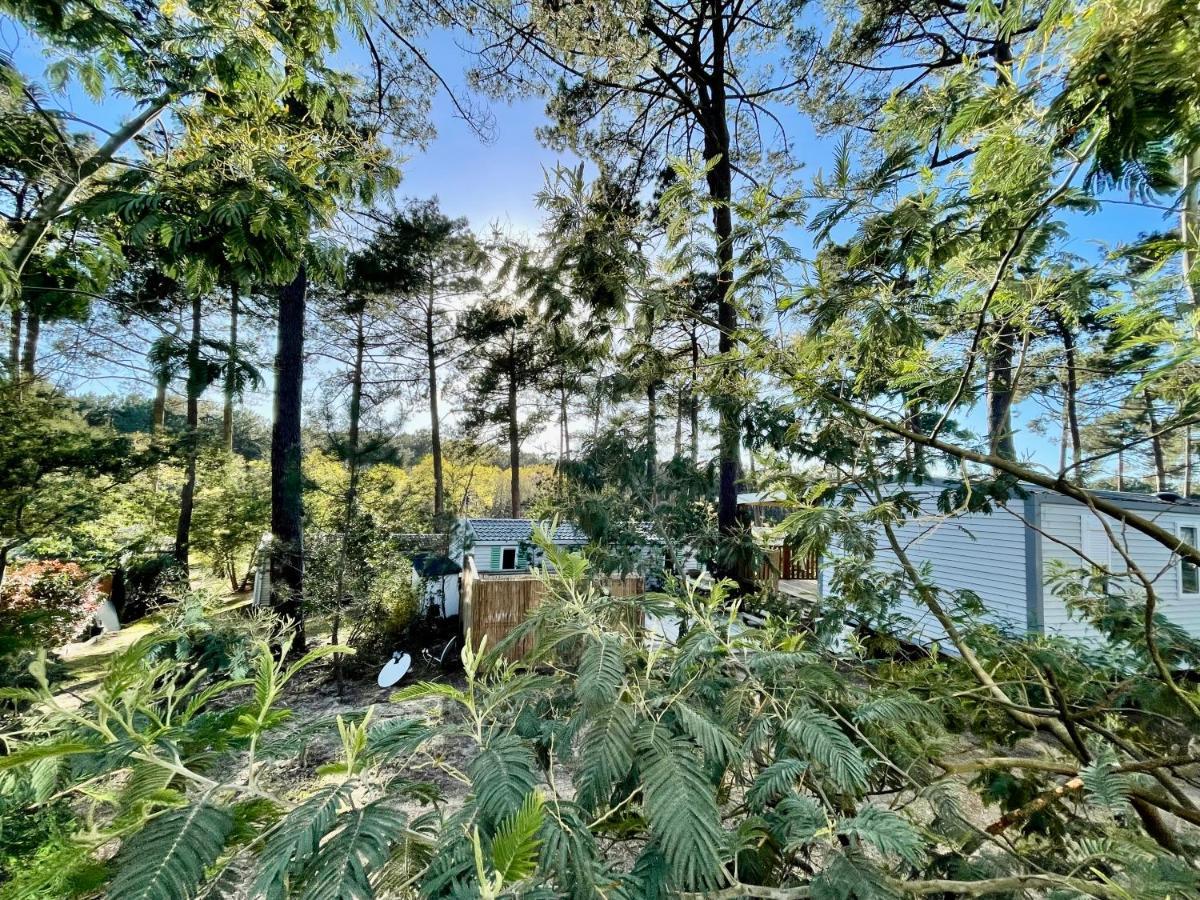 Tiny House Famille Nature Cap Ferret Claouey ภายนอก รูปภาพ